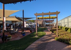 Large presentation area at The Ball Horticultural Company, indoors as well as outdoors. They have many breeding companies stationed in its Santa Paula, California location. The following companies were pleased to launch new products and programs to the enthusiastic guests during California Spring Trials 2023: PanAmerican Seed, Darwin Perennials, Selecta One, Ball FloraPlant, Ball Ingenuity, Morel Cyclamen, and Burpee Home Gardens. 